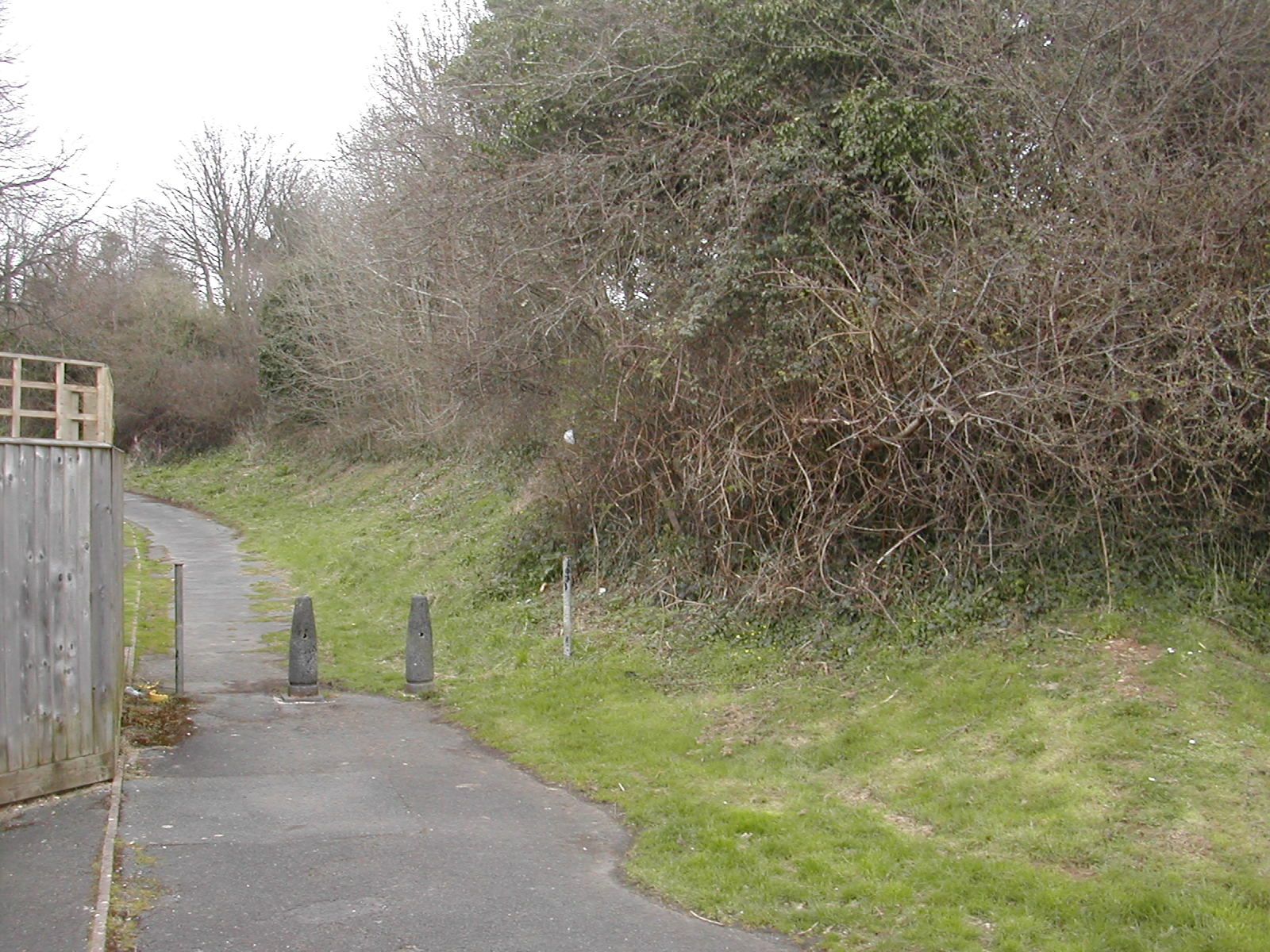 Plymouth Fortifications